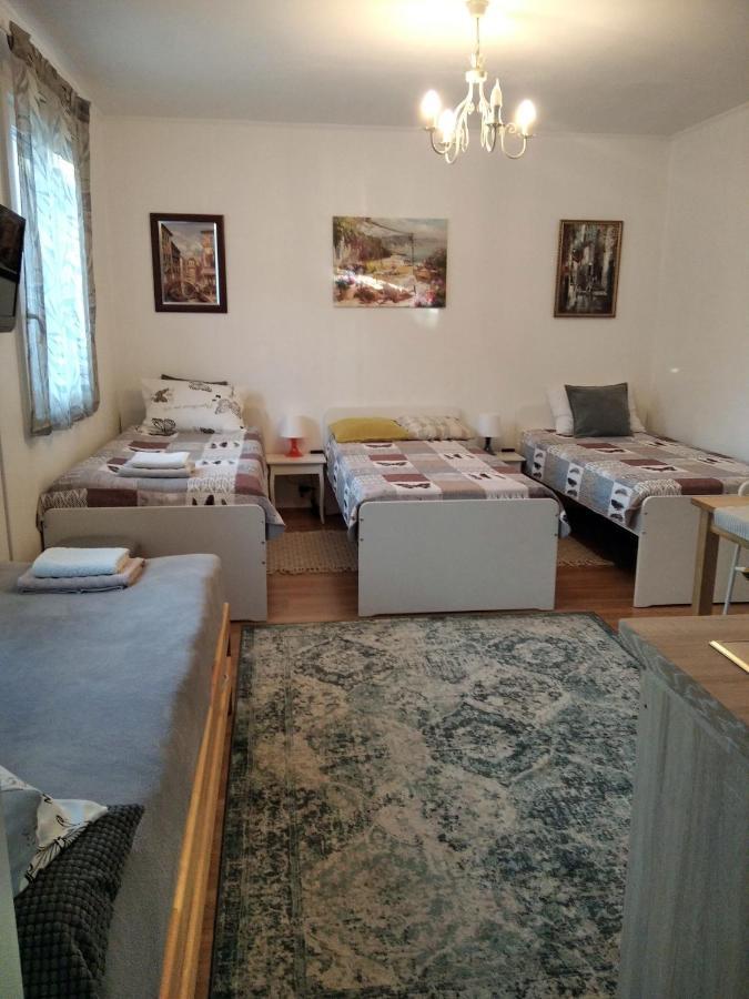 Eco-Lux Apart With Free Bicycles End Free Parking Любляна Экстерьер фото