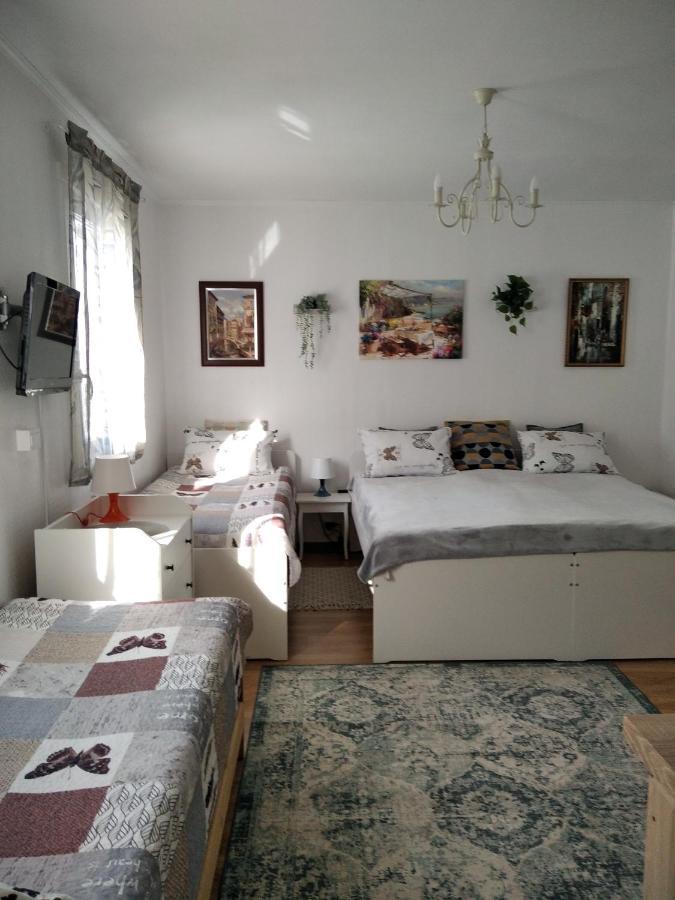 Eco-Lux Apart With Free Bicycles End Free Parking Любляна Экстерьер фото